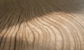 Timber3.jpg