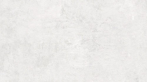 282405.jpg