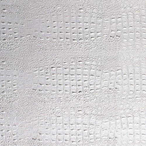 SL CROCO Silver PF met Silver_GP 2.jpg