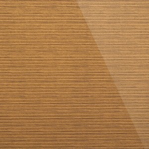 Panel SG ALIGNED Gold AR+