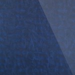 Panel SG LEGUAN Blue AR+