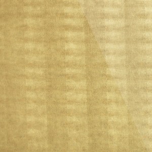 Panel SG LEGUAN Gold AR+ samoprzylepny