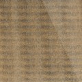 SG LEGUAN Silk_GP 2.jpg