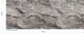 SG MARBLE Alpine AR+_GP.jpg