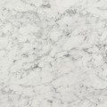 SG MARBLE White AR+_GP 2.jpg
