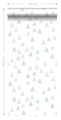 139055_r_t.jpg