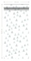 139056_r_t.jpg