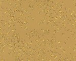 tapeta 1394.63