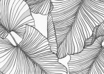 tapeta 1518.6