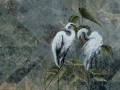 Ardea-art-330-33-2101.jpg