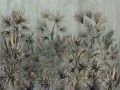 Passiflora-art-340-32-2101.jpg