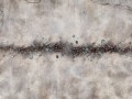 De-Mori-Art.-435-32-2101.jpg