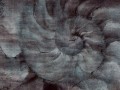 Fosilium-art-405-31-2101.jpg