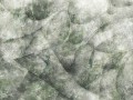 Umbra-art-390-32-2101.jpg