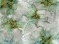 Netes-art-370-32-2101.jpg