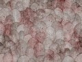 Iberis-Art.-410-32-2101.jpg
