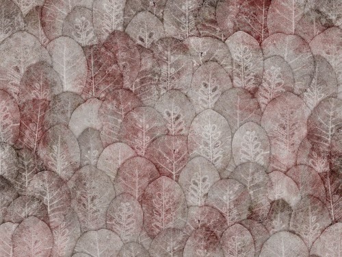 Iberis-Art.-410-32-2101.jpg