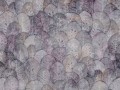 Iberis-Art.-410-33-2101.jpg