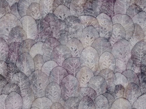 Iberis-Art.-410-33-2101.jpg