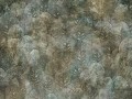 Iberis-Art.-410-34-2101.jpg