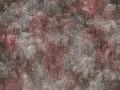 Iberis-Art.-410-36-2101.jpg