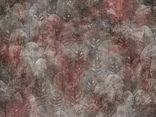 Iberis-Art.-410-36-2101.jpg