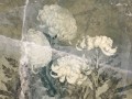 Floss Art. 580 32 2201.jpg