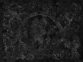 Incor Art. 585 33 2201.jpg
