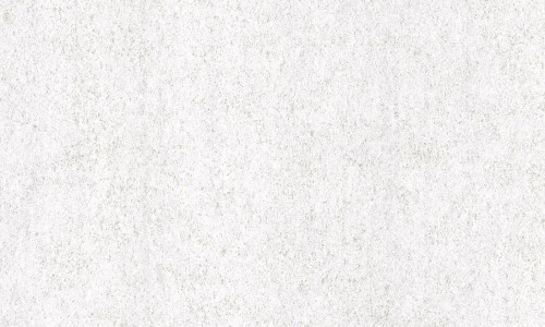 54168.jpg