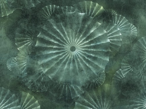 Orlanda Art. 695 33 2202.jpg