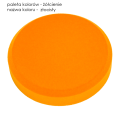 paleta 4.21 złocisty.png