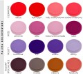 paleta 2.2.jpg