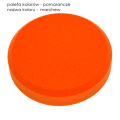 paleta 4.22 marchew.png