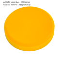 paleta 4.21 rzepakowy.png