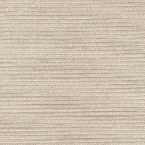 Winylowa-okleina-scienna-RALPH-W-47-379-vinylpex1.jpg