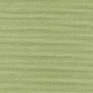 tapeta obiektowa 1565.8 W47-1726
