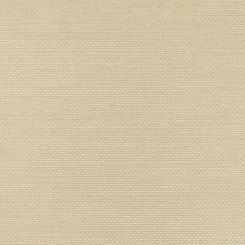 Winylowa-okleina-scienna-RALPH-W-47-82-vinylpex1.jpg