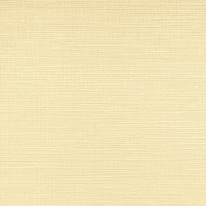 tapeta obiektowa 1565.13 W58-82
