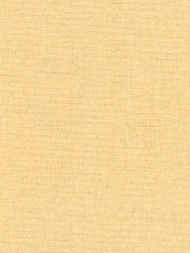 39651-8.webp