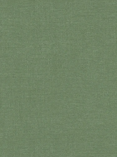 39648-1.webp