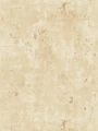 39670-5.webp