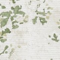 39650-4s1.jpg