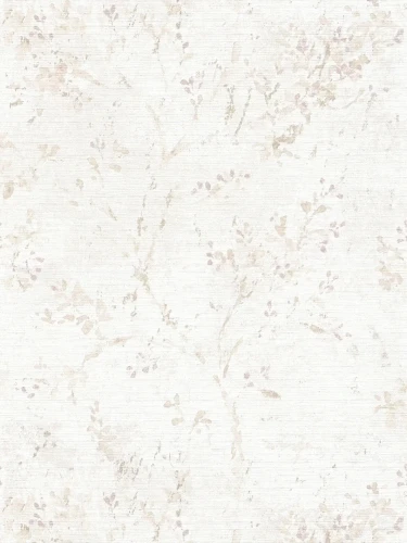 39650-3.webp