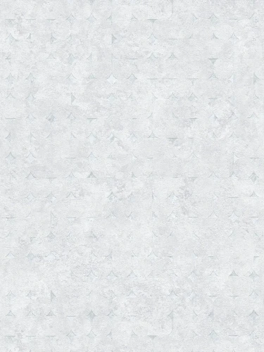 39656-6.webp