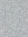 39656-5.webp