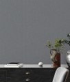 39655-2w1.jpg