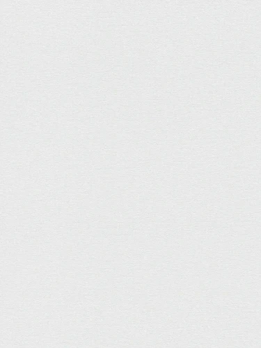 39655-1.webp