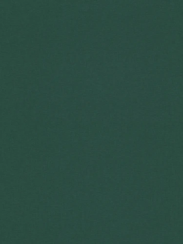 39655-5.webp