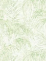 39981-1.webp