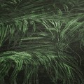 39981-4s.jpg